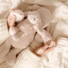 Child in a cream sweater holding a stuffed bunny in bed.